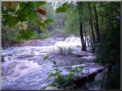 Isinglass Falls Isinglass Falls